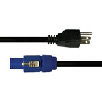 PowerCon style to AC Male Cable For Bi Series Amps